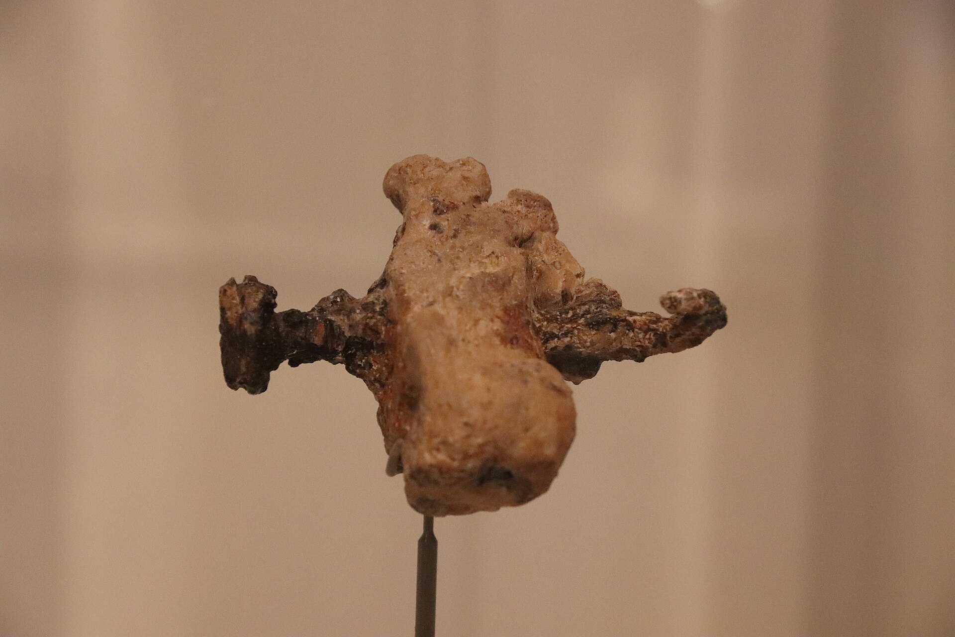 Heel Bone of Yehohanan